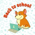 Cute puppy of welsh corgi learning with laptop. Back to school. Vector illustration. For cards, calendars, posters.