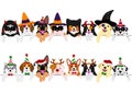 Cute pups border set, with Halloween costumes and with Christmas costumes