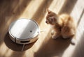 Cute purebred funny kitten explores modern vacuum cleaner robot smart device while cleaning living room laminate floor. Allergy