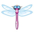 Cute Purple Dragonfly with Blue Wings