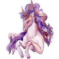 Cute purple unicorn horse isolated. White background illustration set. Fairytale children sweet dream. Royalty Free Stock Photo