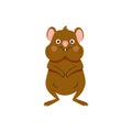 Cute quokka animal cartoon vector illustration. Australian Quokka animal isolated on white background