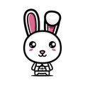 Cute rabbit animal cartoon characters have a muscular body