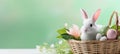 Cute Rabbit in basket with colorful Easter eggs. Festive bunny. Banner with copy space. For greeting card, invitation