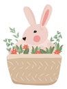 Cute rabbit in a basket with spring flowers and green leaves. Spring flowering, illustration for celebrating Easter