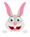 Cute rabbit with blank sign cartoon collection set