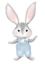 Cute rabbit in a blue jumpsuit. Little bunny in jeans with a flower Isolated on a white background. Children s card with