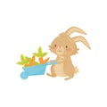 Cute rabbit with blue wheelbarrow full of carrot. Cute brown bunny with long ears and short tail. Flat vector icon