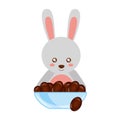 cute rabbit with bowl chocolate sweet bonbon