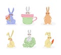 Cute Rabbit or Bunny with Long Ears with Flowers, Sitting in Mug, with Cabbage and Carrot Vector Set