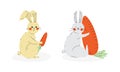 Cute Rabbit or Bunny with Long Ears Holding Ripe Orange Carrot Vector Set Royalty Free Stock Photo