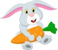 Cute rabbit cartoon holding carrot Royalty Free Stock Photo