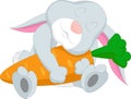 Cute rabbit cartoon hugging carrot