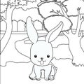 Cute rabbit coloring page Royalty Free Stock Photo