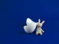 Cute rabbit doll with egg shell broken crack on white background Royalty Free Stock Photo