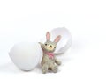 Cute rabbit doll with egg shell broken crack on white background Royalty Free Stock Photo