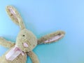 Cute rabbit doll with space copy on blue background Royalty Free Stock Photo