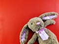 Cute rabbit doll with space copy on red background Royalty Free Stock Photo