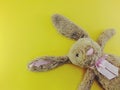 Cute rabbit doll with space copy on yellow background Royalty Free Stock Photo