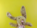 Cute rabbit doll with space copy on yellow background Royalty Free Stock Photo