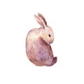 Cute rabbit drawing in watercolor