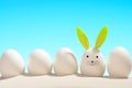Cute rabbit Easter egg Royalty Free Stock Photo