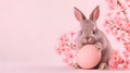 Cute rabbit, easter egg and flowers. Concept and idea of happy easter day Royalty Free Stock Photo