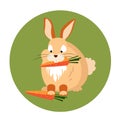 Cute Rabbit Eating a Carrot Vector