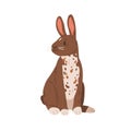 Cute rabbit of English spot breed. Spotty bunny sitting. Portrait of happy animal with ears. Realistic coney pet. Flat