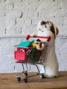 cute rabbit with full shopping cart illustrate a shopping concept