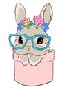 Cute rabbit in glasses sits in a pocket. Print design for textiles, baby clothes, banner. Vector