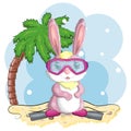 Cute rabbit, hare in a summer hat and swim ring, flippers. Beach, holiday, vacation concept. Symbol of 2023. Royalty Free Stock Photo