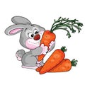 Cute rabbit holding in his paws a big ripe orange carrot, cartoon illustration, isolated object on a white background, vector Royalty Free Stock Photo