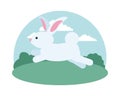 Cute rabbit jumping animal in the landscape Royalty Free Stock Photo