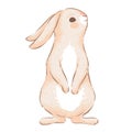 A cute rabbit with long ears is worth it. An element for Easter design. Imitation of handmade watercolors