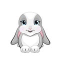 Cute rabbit with pubescent ears with emotion of happy.