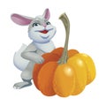 Cute rabbit with pumpkins isolated on white background. Vector illustration of cartoon gray hare.