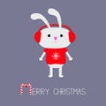 Cute rabbit in red pullover with snowflake. Headphone hat. Candy cane.