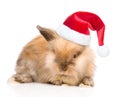 Cute rabbit in red santa hat. isolated on white background Royalty Free Stock Photo