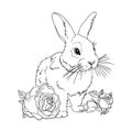 Cute rabbit with roses. Easter bunny. Farm animal isolated on a white background. Blank for the designer. Logo, icon, print