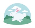 Cute rabbit running in the camp scene Royalty Free Stock Photo