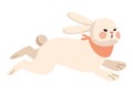 cute rabbit running Royalty Free Stock Photo