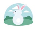 Cute rabbit seated back in the field scene Royalty Free Stock Photo