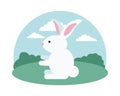 Cute rabbit seated in the field scene Royalty Free Stock Photo