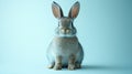 Cute rabbit sits centered against a soft pastel background Royalty Free Stock Photo