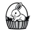 Cute Rabbit Sitting in Basket with Grass for Spring Design Royalty Free Stock Photo