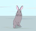 Hare gray vector