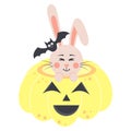 Cute rabbit sitting in a scary pumpkin with a bat on his head. Halloween bunny boy and spooky pumpkin. Royalty Free Stock Photo