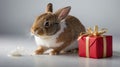 A cute rabbit beside a small red gift box, creating a festive atmosphere Royalty Free Stock Photo
