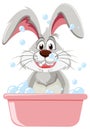 Cute rabbit taking a bath